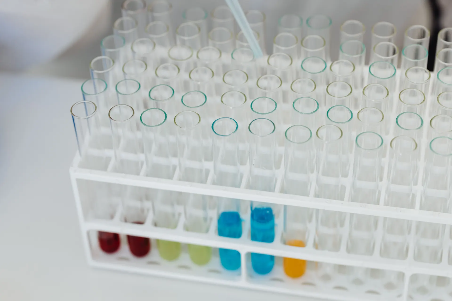 Water samples in test tubes showing colour reactions during testing